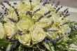 Foto: Weisse Rosen Weisse Rosen