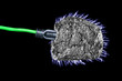Coal with plug