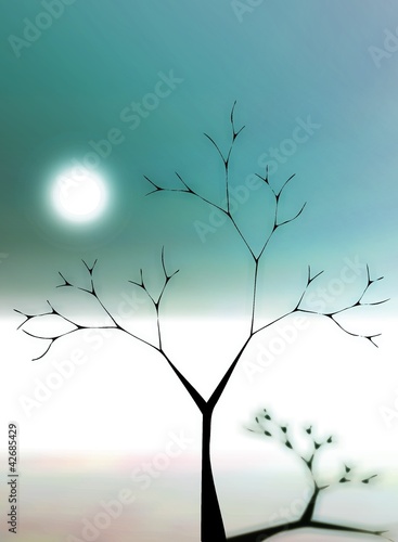 Illustration: Moonlight shadow Moonlight shadow