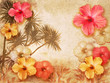 tropical background
