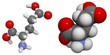 Glutamic acid (Glu, E) molecule