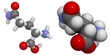 Glutamine (Gln, Q) molecule