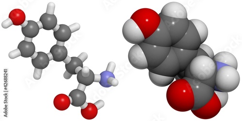 Illustration: Tyrosine (Tyr, Y) molecule. Tyrosine (Tyr, Y) molecule.