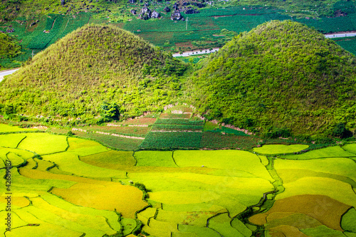 Photo: Rice Terraces Rice Terraces