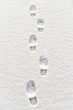 Footsteps in Snow