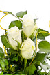 Foto: Rose Rose