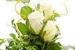 Foto: Rose Rose
