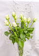 Foto: Rose Rose