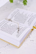 The Bible
