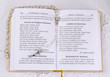 The Bible