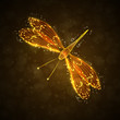Shiny abstract dragonfly, technology energy illustration eps10
