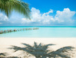 Caribbean Island. Vacation and Tourism concept. Sun and Palms
