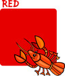 Color Red and Crayfish Cartoon