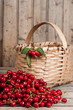 Red raw Chery