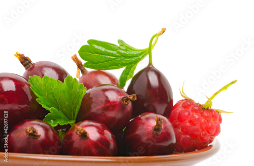 Foto: Wine red gooseberry and the raspberry Wine red gooseberry and the raspberry