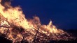 Feuer