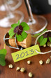 Neujahr 2013