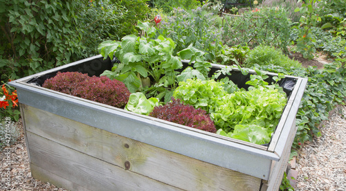 Foto: Gemüsegarten als Hochbeet Gemüsegarten als Hochbeet