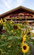 Haus in Tirol - Dolomiten - Alpen