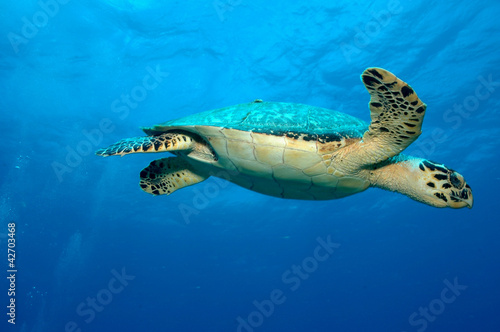 Photo: sxm9 sxm9