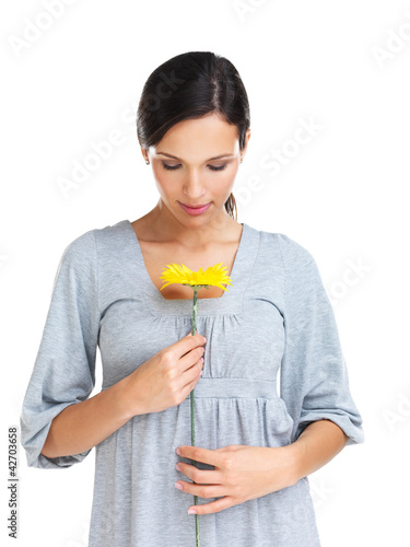 Photo: The scent of spring The scent of spring