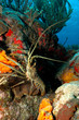 sxm9