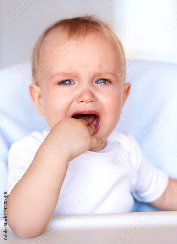 Foto: He's feeling a little hungry He's feeling a little hungry