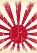 Japan grunge flag