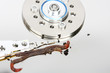 computer worm or virus in hard disk