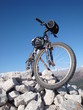 VTT