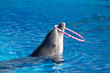 delfino