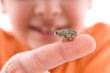 Little boy holding a small frog isolated on white background