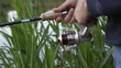 Video: A man catches a fish. Fishing A man catches a fish. Fishing