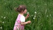 Video: dziewczynka z dmuchawcami na łące dziewczynka z dmuchawcami na łące