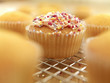 Close up of sprinkled cupcake cooling on wire rack