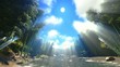 Video: Bamboo forest Bamboo forest