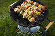 Skewers, Grill background  