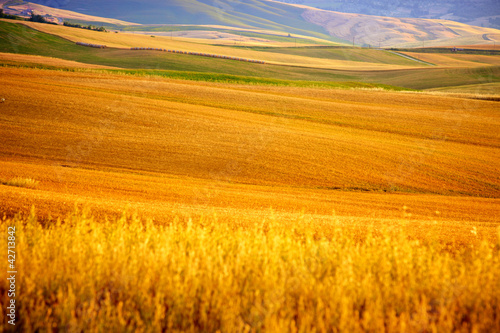 Photo: Scenic view of Tuscany landscape, Italy . Nature background Scenic view of Tuscany landscape, Italy . Nature background