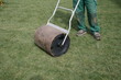 Rollrasen walzen