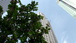Chrysler Building (Manhattan, NYC)