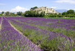 Château de Grignan - Drôme Provençale