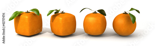 Illustration: Orange evolution Orange evolution