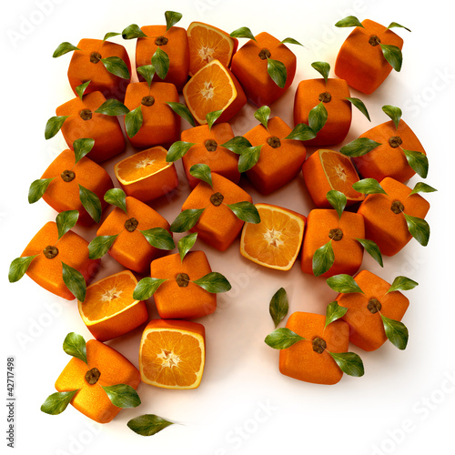 Illustration: Orange garden Orange garden