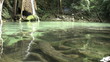 Video: Jungle Pond And Waterfall-Close Up Jungle Pond And Waterfall-Close Up