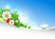 Vector: nature background nature background