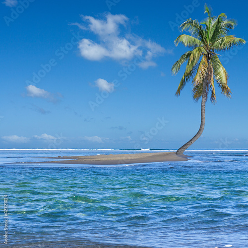 Foto: île cocotier île cocotier