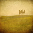 vintage tuscan landscape