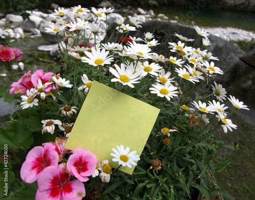 Photo: Post-it note: flowers Post-it note: flowers