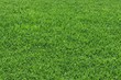 prato verde