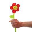 hand holding a flower